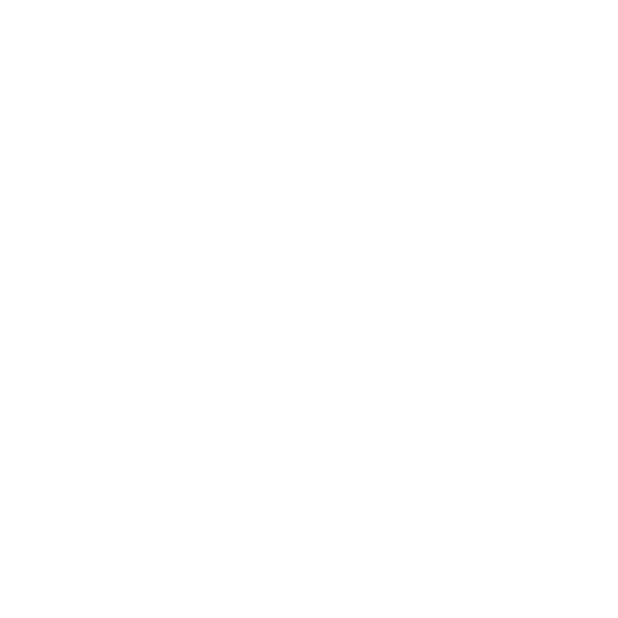 Farini Motion Logo
